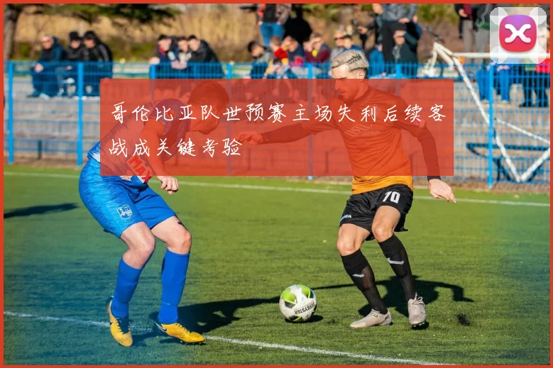 哥伦比亚队世预赛主场失利后续客战成关键考验