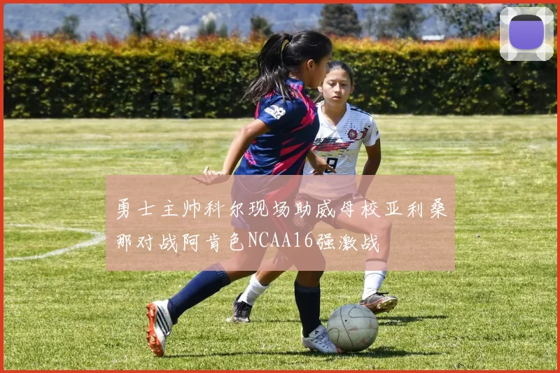 勇士主帅科尔现场助威母校亚利桑那对战阿肯色NCAA16强激战