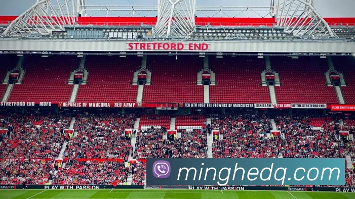 星空平台入口平台生态图