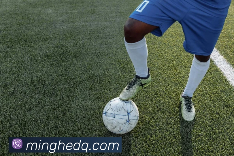 星空平台入口全站App